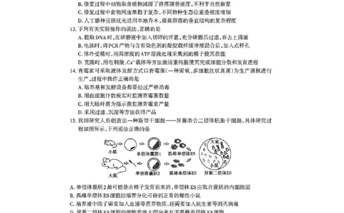 山东省泰安市高三一轮检测（泰安一模）生物试题+答案_全国高考模拟卷_2026年2月_260204山东省泰安市2026届高三一轮检测（泰安一模）（全科）