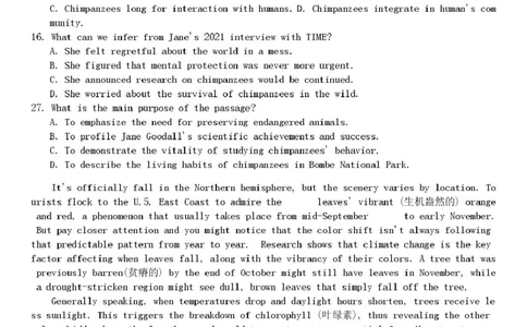 云南省昆明市第一中学等学校2025-2026学年高三上学期1月复习诊断英语试题试卷_全国高考模拟卷_2026年2月_昆明一中2026届高三上学期1月复习诊断英语试题