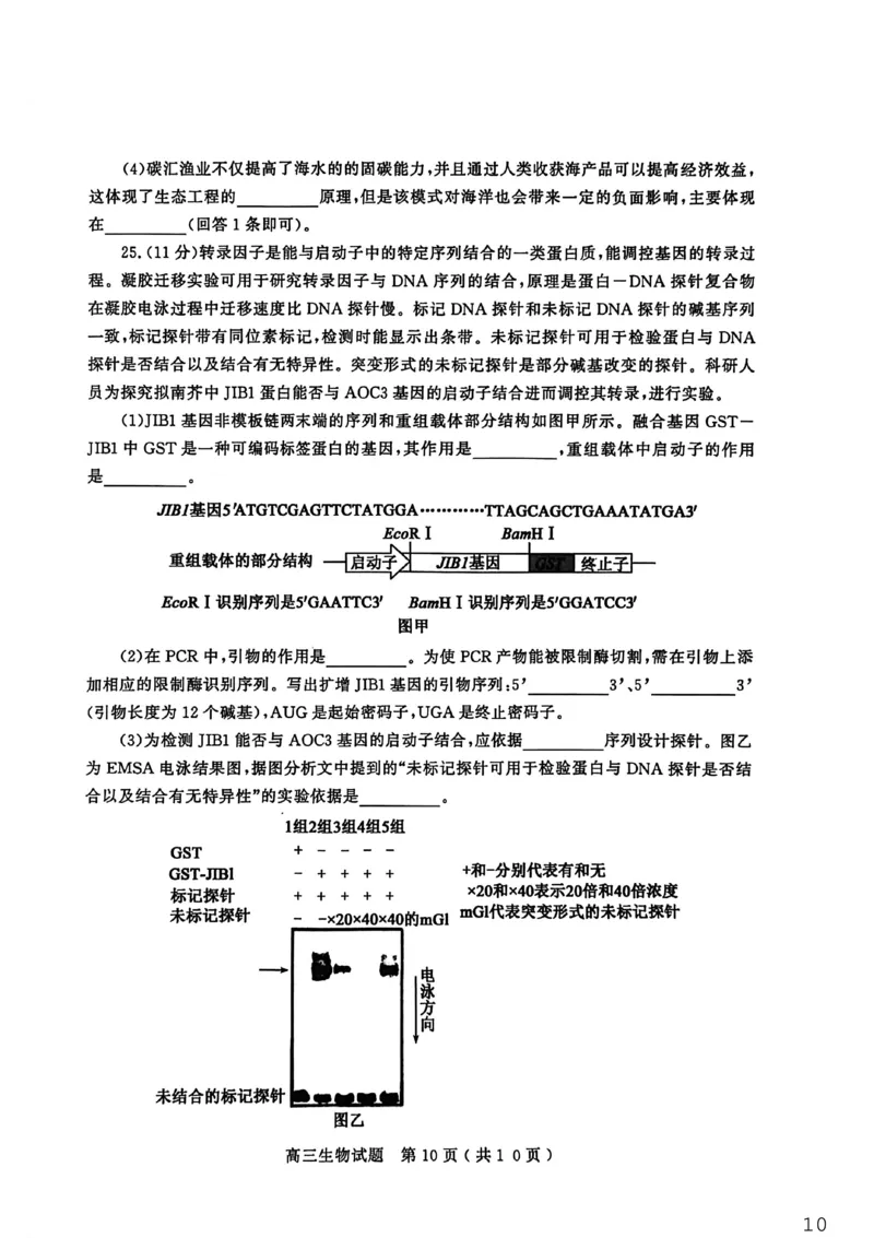26聊城期末-生物试题_全国高考模拟卷_2026年2月_260211山东省聊城市2025-2026学年度第一学期高三年级期末教学质量检测（全科）