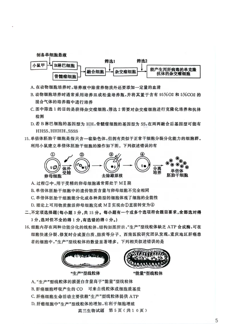 26聊城期末-生物试题_全国高考模拟卷_2026年2月_260211山东省聊城市2025-2026学年度第一学期高三年级期末教学质量检测（全科）