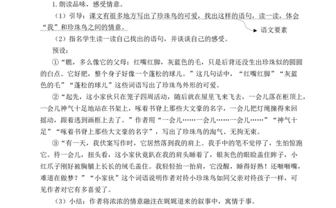 4珍珠鸟教案_25秋1-6年级语文上册课件教案_25秋统编版语文五年级上册_统编版语文五年级上册教学资源包（25秋状元大课堂）_4-《状元大课堂》五年级语文上册_五年级语文上册_教案