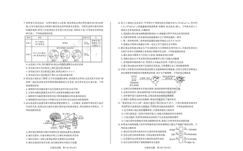运城市2025&mdash;2026学年第一学期期末调研测试高三生物学_全国高考模拟卷_2026年2月_260202山西省运城市2025-2026学年高三上学期期末调研