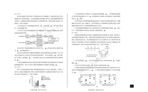 运城市2025&mdash;2026学年第一学期期末调研测试高三生物学_全国高考模拟卷_2026年2月_260202山西省运城市2025-2026学年高三上学期期末调研