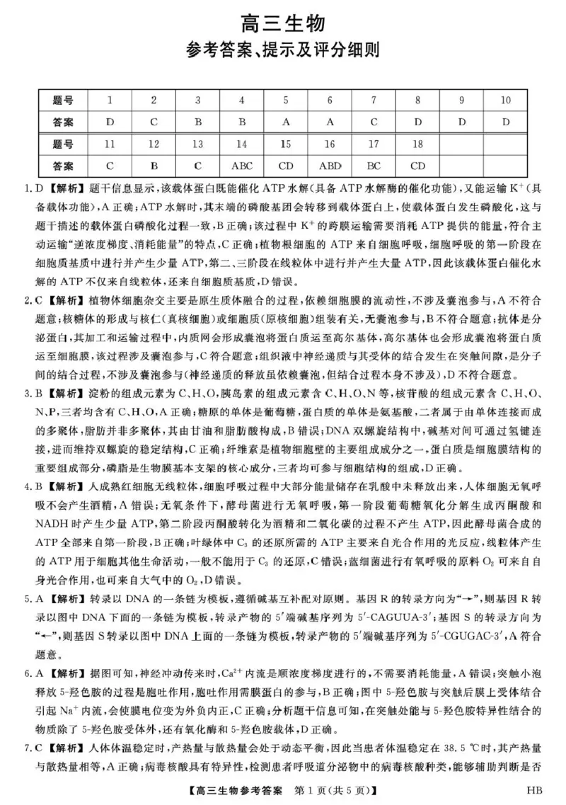 26074C-HB-详解版答案-生物_全国高考模拟卷_2026年2月_260203河北省2026年高三2月份金科大联考（全科）_河北高三上学期金科联考二月份生物试卷（含答案）