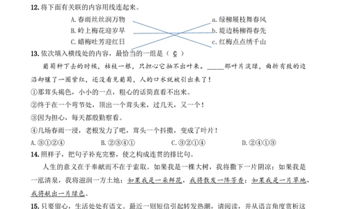 小升初模拟冲刺试卷（六）-2024-2025学年小升初模拟演练冲刺试卷A4版教师版_北京小升初全套文件_语文_2024年语文-秋季七年级入学分班考试模拟卷（全国通用）12（A3+A4-原卷+解析）