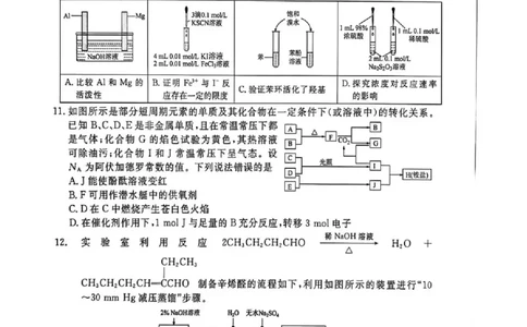 陕西省衡水金卷2026届高三上学期2月联考化学_全国高考模拟卷_2026年2月_260211陕西省衡水金卷2026届高三上学期2月联考（全科）