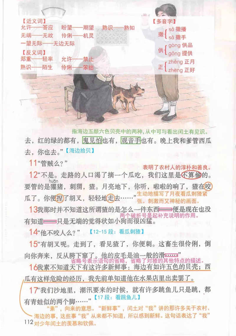 6年级上册_25秋1-6年级语文《课堂笔记》_1-6上册