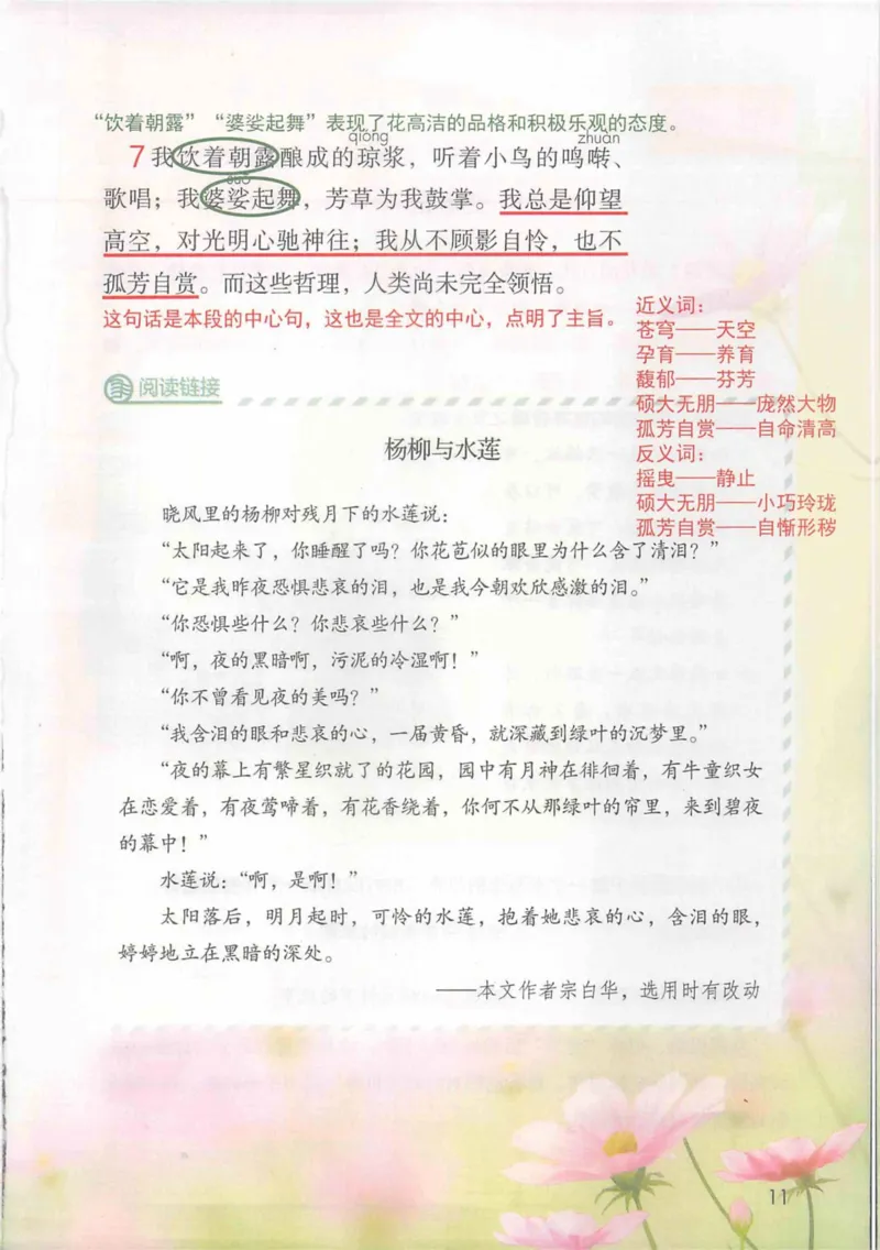 6年级上册_25秋1-6年级语文《课堂笔记》_1-6上册