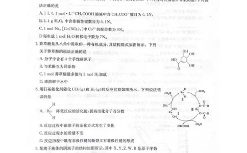 2025-2026学年上学期高三期末考试化学试题_全国高考模拟卷_2026年2月_260206九师联盟2025-2026学年高三核心模拟卷（中）（二）（全科）