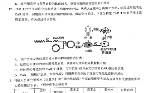 2025-2025高三生物试卷高三生物_全国高考模拟卷_2026年2月_260208广西河池市2025-2026学年高三上学期期末学业水平质量检测（全科）