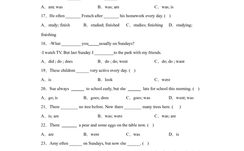 2023年小升初英语语法专题突破-一般现在时北京版_北京小升初全套文件_英语_2022-2023学年小升初英语语法专题突破（北京版）2987575(13)份