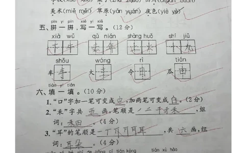 一年级期中测试卷答案_小学1-6年级常用的上册资源汇总_一年级上册资料