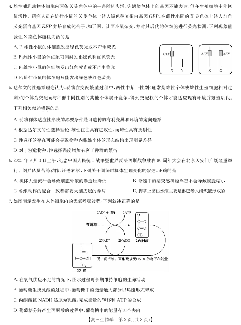 生物-十堰市高三元月调研考_全国高考模拟卷_2026年2月_2602032026届湖北省十堰市高三年级元月调研考试一模测试_2026届湖北省十堰市高三年级元月调研考试一模测试生物试题