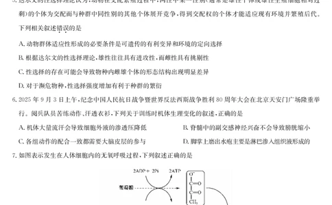 生物-十堰市高三元月调研考_全国高考模拟卷_2026年2月_2602032026届湖北省十堰市高三年级元月调研考试一模测试_2026届湖北省十堰市高三年级元月调研考试一模测试生物试题
