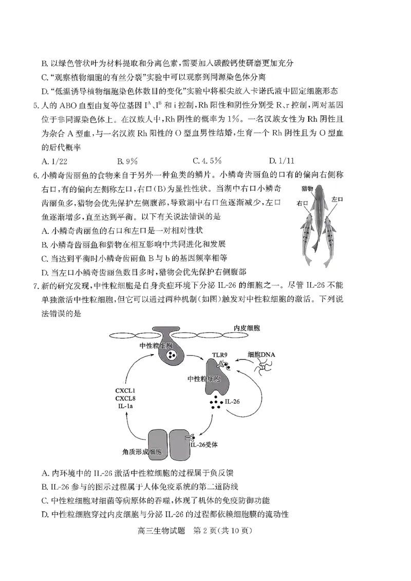 枣庄市2026届高三第一学期质量检测生物+答案_全国高考模拟卷_2026年2月_260202山东省枣庄市2026届高三第一学期质量检测（枣庄一调）（全科）