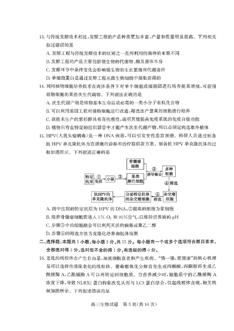 枣庄市2026届高三第一学期质量检测生物+答案_全国高考模拟卷_2026年2月_260202山东省枣庄市2026届高三第一学期质量检测（枣庄一调）（全科）