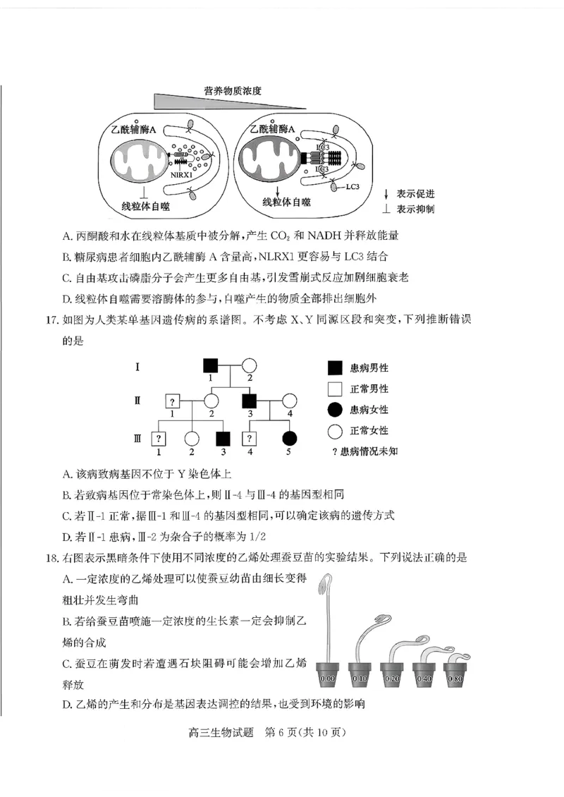 枣庄市2026届高三第一学期质量检测生物+答案_全国高考模拟卷_2026年2月_260202山东省枣庄市2026届高三第一学期质量检测（枣庄一调）（全科）