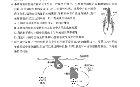枣庄市2026届高三第一学期质量检测生物+答案_全国高考模拟卷_2026年2月_260202山东省枣庄市2026届高三第一学期质量检测（枣庄一调）（全科）