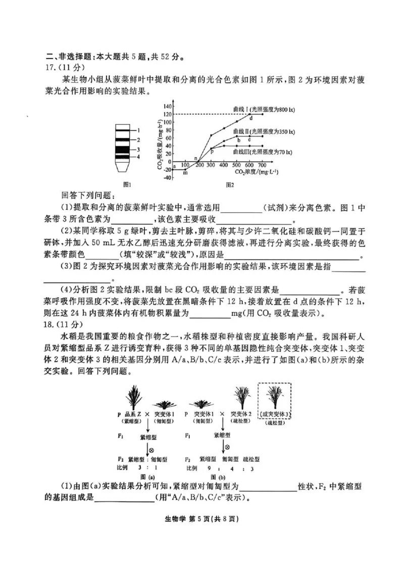 陕西省衡水金卷2026届高三上学期2月联考生物_全国高考模拟卷_2026年2月_260211陕西省衡水金卷2026届高三上学期2月联考（全科）