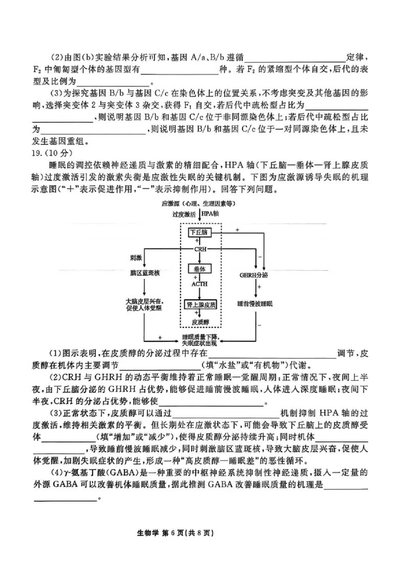 陕西省衡水金卷2026届高三上学期2月联考生物_全国高考模拟卷_2026年2月_260211陕西省衡水金卷2026届高三上学期2月联考（全科）