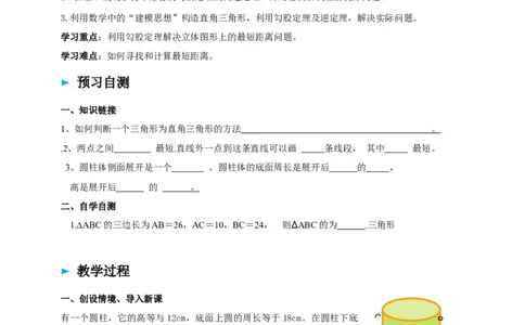 精5北师大版（2024）八年级数学上册第一章《勾股定理》问题解决的策略-反思导学案_北师大初中数学_8上-北师大版初中数学_初中数学北师大8上-2025秋季新版_第二套推荐25