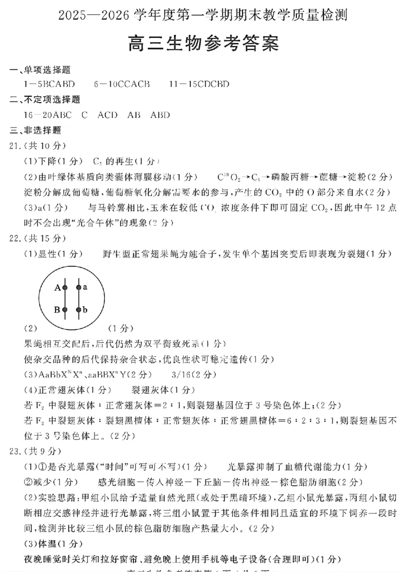 生物答案_全国高考模拟卷_2026年2月_260211山东省聊城市2025-2026学年度第一学期高三年级期末教学质量检测（全科）