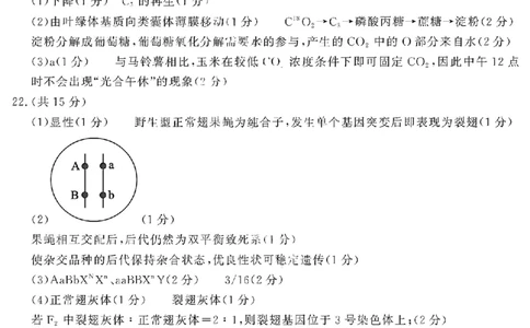 生物答案_全国高考模拟卷_2026年2月_260211山东省聊城市2025-2026学年度第一学期高三年级期末教学质量检测（全科）