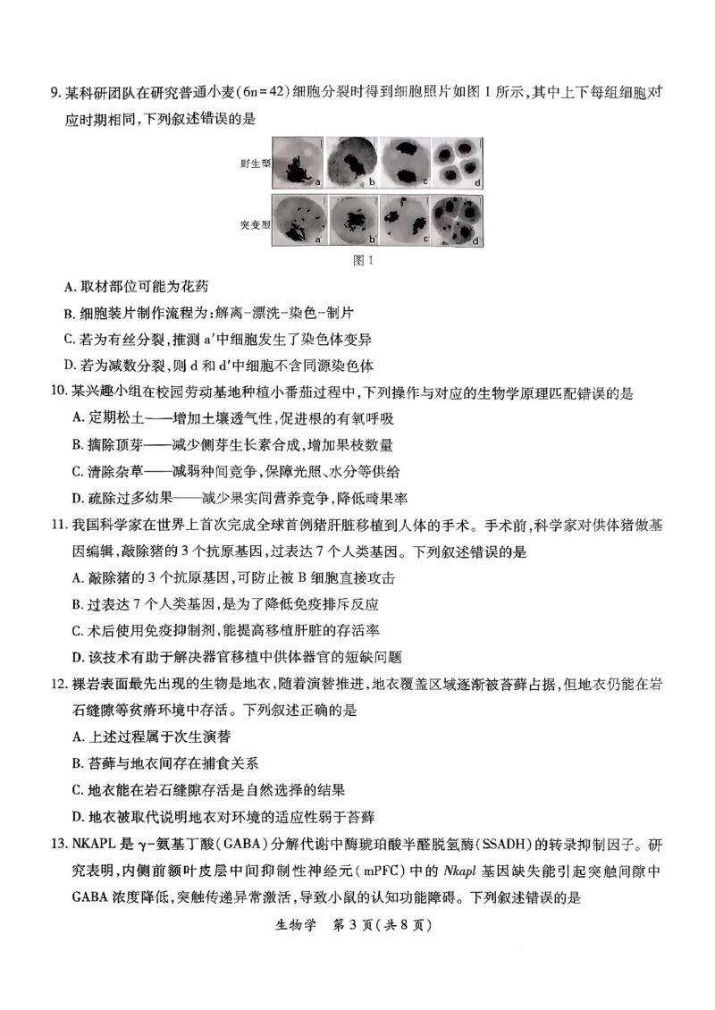 2026届茂名一模生物学试卷_全国高考模拟卷_2026年2月_2602042026年广东省茂名市高三年级第一次综合测试（全科）_2026年广东省茂名市高三年级第一次综合测试生物