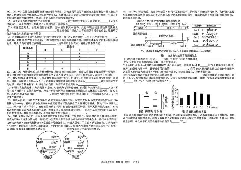 树德中学高2023级高三上期期末测试生物+答案_全国高考模拟卷_2026年2月_260203四川成都树德中学高2023级高三上期期末测试（全科）