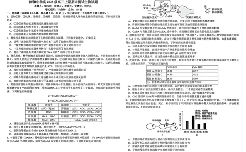 树德中学高2023级高三上期期末测试生物+答案_全国高考模拟卷_2026年2月_260203四川成都树德中学高2023级高三上期期末测试（全科）