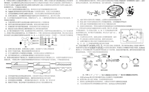 树德中学高2023级高三上期期末测试生物+答案_全国高考模拟卷_2026年2月_260203四川成都树德中学高2023级高三上期期末测试（全科）
