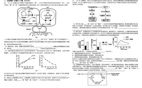 树德中学高2023级高三上期期末测试生物+答案_全国高考模拟卷_2026年2月_260203四川成都树德中学高2023级高三上期期末测试（全科）