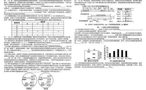 树德中学高2023级高三上期期末测试生物+答案_全国高考模拟卷_2026年2月_260203四川成都树德中学高2023级高三上期期末测试（全科）