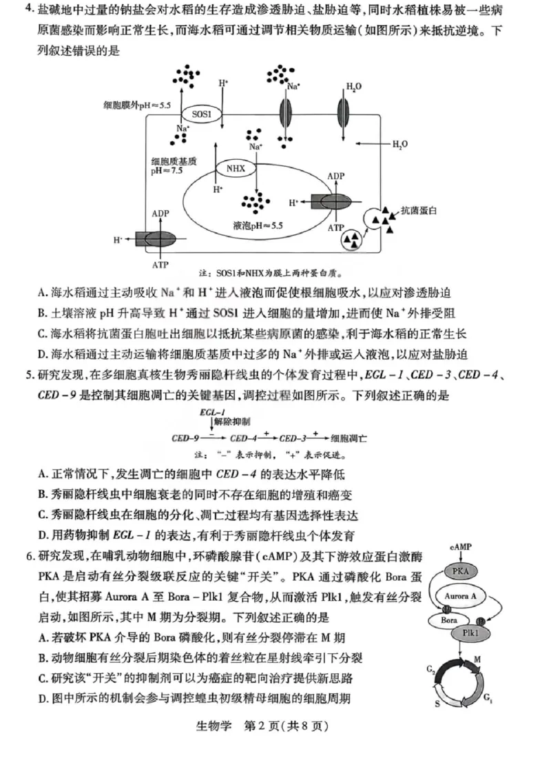 生物试题卷_全国高考模拟卷_2026年2月_260212山西省晋中市2026年2月高三年级适应性调研考试(晋中一模)（全科）