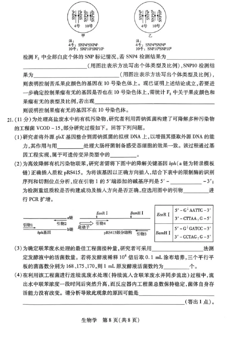 生物试题卷_全国高考模拟卷_2026年2月_260212山西省晋中市2026年2月高三年级适应性调研考试(晋中一模)（全科）