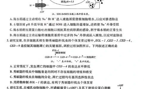 生物试题卷_全国高考模拟卷_2026年2月_260212山西省晋中市2026年2月高三年级适应性调研考试(晋中一模)（全科）