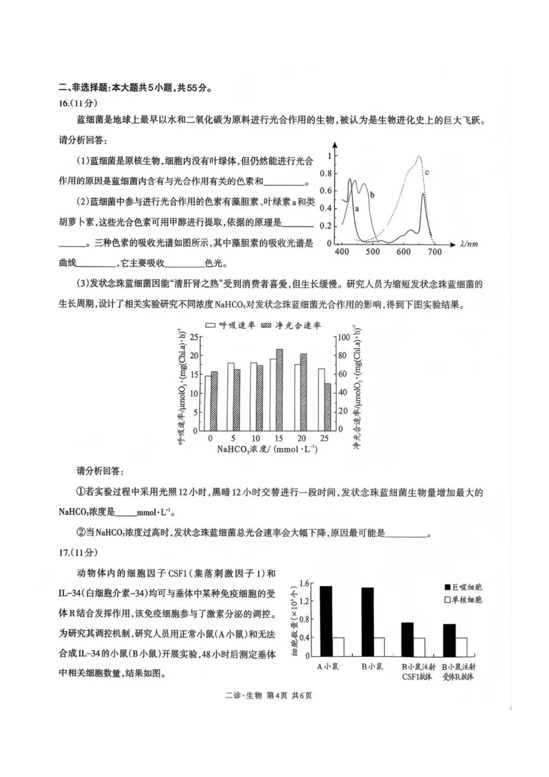 生物试题_全国高考模拟卷_2026年2月_260201四川省泸州市高2023级第二次教学质量诊断性考试（泸州二诊）（全科）