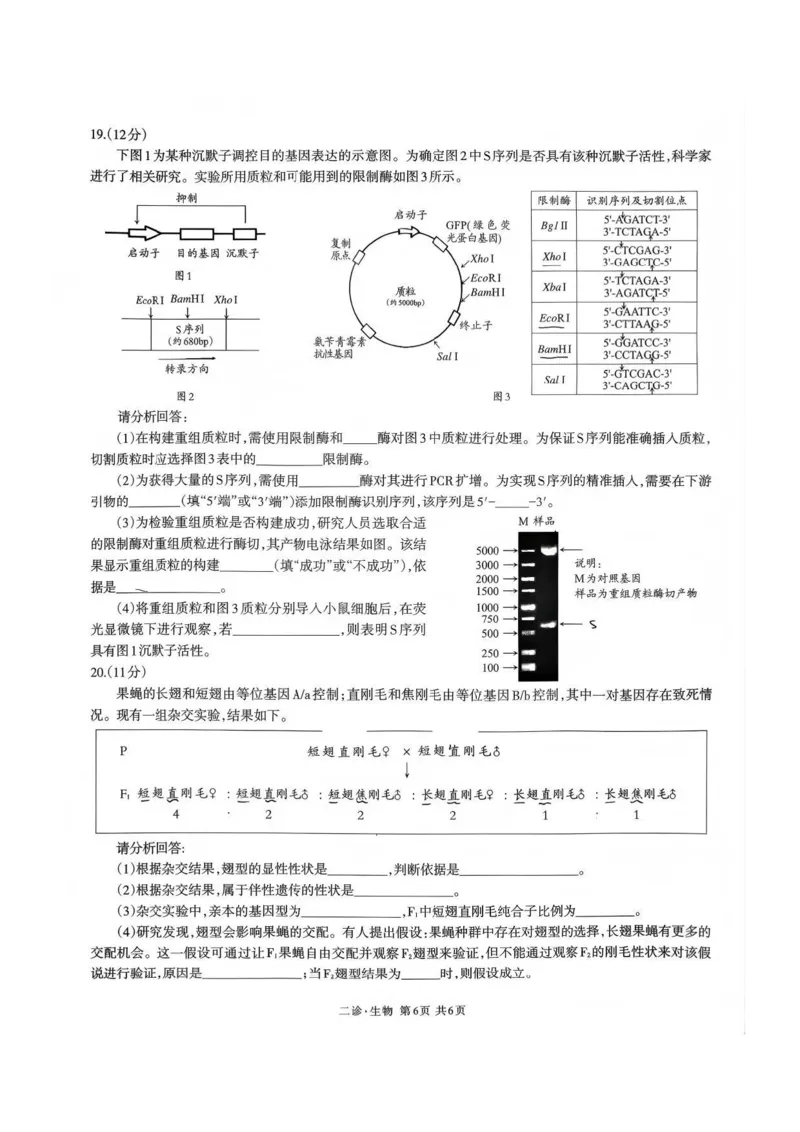 生物试题_全国高考模拟卷_2026年2月_260201四川省泸州市高2023级第二次教学质量诊断性考试（泸州二诊）（全科）