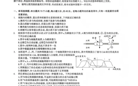 生物试题_全国高考模拟卷_2026年2月_260201四川省泸州市高2023级第二次教学质量诊断性考试（泸州二诊）（全科）