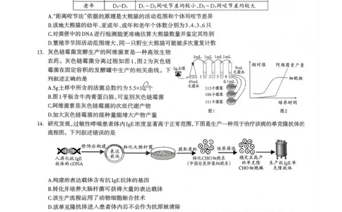 生物试题_全国高考模拟卷_2026年2月_260201四川省泸州市高2023级第二次教学质量诊断性考试（泸州二诊）（全科）