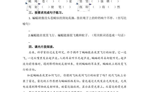 6夜间飞行的秘密课时练_25秋1-6年级语文上册课件教案_25秋统编版语文四年级上册_统编版语文四年级上册教学资源包（25秋七彩课堂）_2.第二单元_6夜间飞行的秘密_同步练习