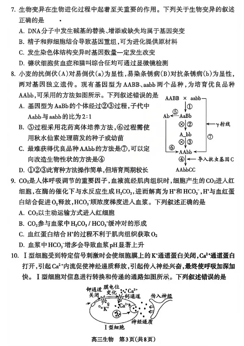 生物试题_吕梁一模吕梁25-26学年高三上学期期末调研测试及答案_全国高考模拟卷_2026年2月_260208山西省吕梁25-26学年高三上学期期末调研（吕梁一模）（全科）