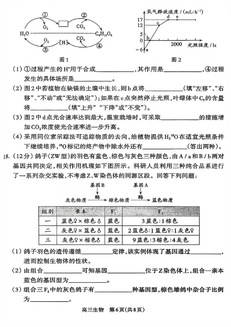 生物试题_吕梁一模吕梁25-26学年高三上学期期末调研测试及答案_全国高考模拟卷_2026年2月_260208山西省吕梁25-26学年高三上学期期末调研（吕梁一模）（全科）