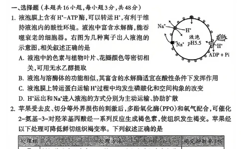 生物试题_吕梁一模吕梁25-26学年高三上学期期末调研测试及答案_全国高考模拟卷_2026年2月_260208山西省吕梁25-26学年高三上学期期末调研（吕梁一模）（全科）