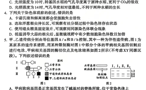 生物试题_吕梁一模吕梁25-26学年高三上学期期末调研测试及答案_全国高考模拟卷_2026年2月_260208山西省吕梁25-26学年高三上学期期末调研（吕梁一模）（全科）