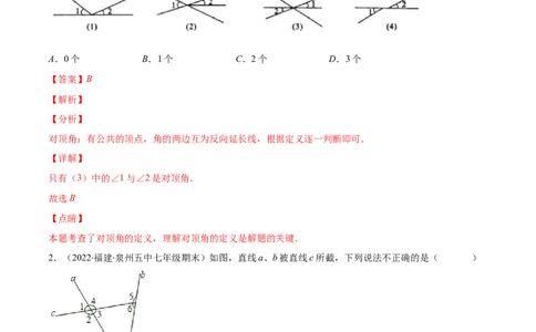 重点突围专题04平行线的判定与性质（解析版）-七年级数学下册期中期末综合复习专题提优训练（北师大版）_北师大初中数学_7下-北师大版初中数学_06专项讲练