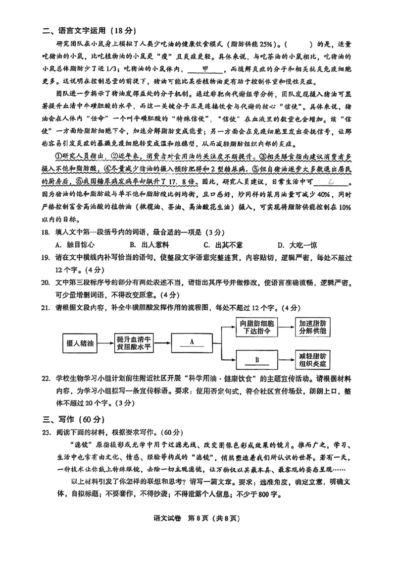 语文试卷_全国高考模拟卷_2026年2月_2602102026届湖北高三圆创联盟2月联考（全科）_2026届湖北高三圆创联盟2月联考语文