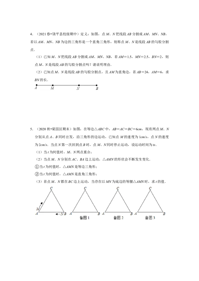 （挑战压轴）专题1.5勾股定理与分类讨论-2022-2023学年八年级数学上册《同步考点解读&bull;专题训练》（北师大版）_北师大初中数学_8上-北师大版初中数学_旧版_06专项讲练
