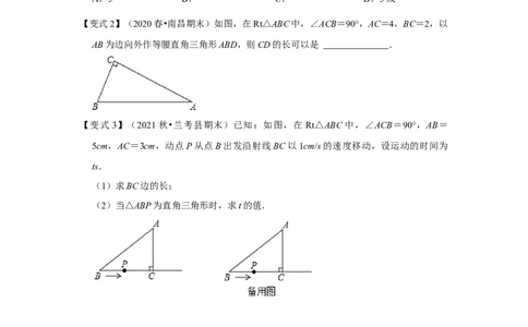 （挑战压轴）专题1.5勾股定理与分类讨论-2022-2023学年八年级数学上册《同步考点解读&bull;专题训练》（北师大版）_北师大初中数学_8上-北师大版初中数学_旧版_06专项讲练