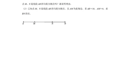 （挑战压轴）专题1.5勾股定理与分类讨论-2022-2023学年八年级数学上册《同步考点解读&bull;专题训练》（北师大版）_北师大初中数学_8上-北师大版初中数学_旧版_06专项讲练